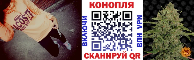 даркнет сайт  Павловск  Бошки марихуана ГИДРОПОН 